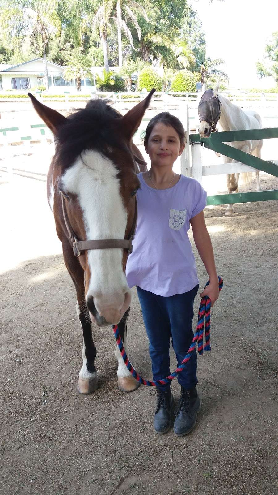 Glory Reins Riding School | 1455 Tierra Rejada Rd, Simi Valley, CA 93065, USA | Phone: (818) 282-3707