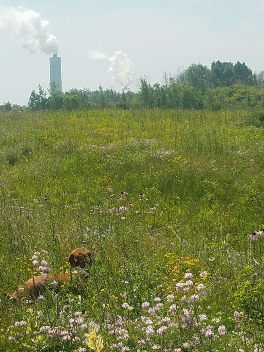 Bender Park Hiking Trail | Unnamed Road, Oak Creek, WI 53154, USA