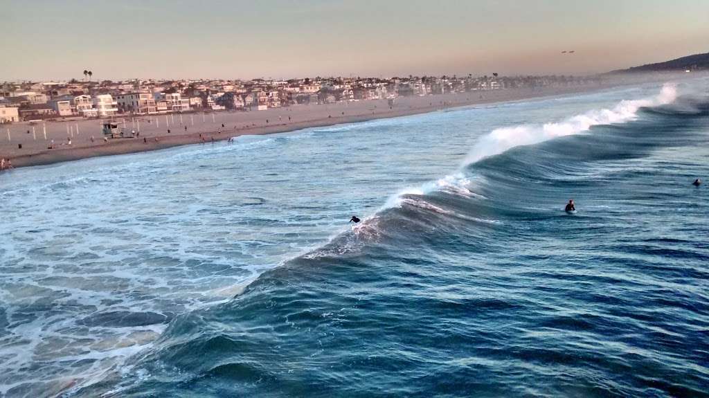 Roundhouse Aquarium | Manhattan Beach Pier, Manhattan Beach, CA 90266, USA | Phone: (310) 379-8117