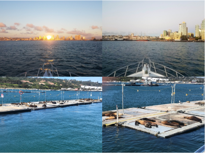 San Diego Boat Tours | 2240 Shelter Island Dr, San Diego, CA 92106 | Phone: (619) 333-9131