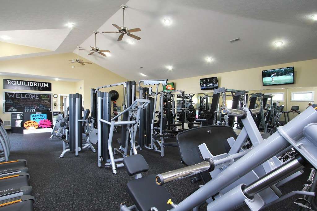 Equilibrium Fitness | 705 W Buffalo St, New Buffalo, MI 49117, USA | Phone: (269) 586-4280