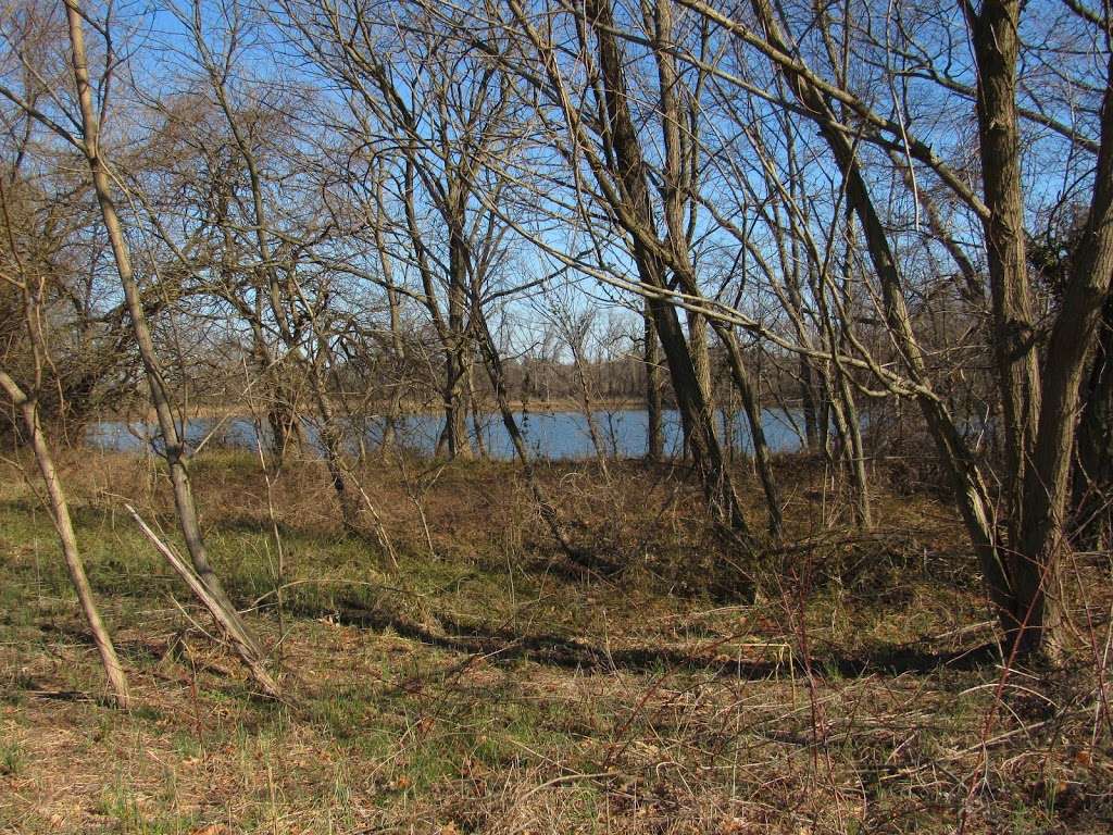 Schoolhouse Woods Nature Trail | Schoolhouse Woods Nature Trail, Queenstown, MD 21658, USA