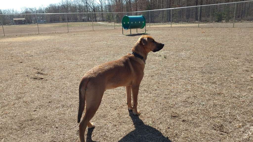 Ptlm. Daniel Calabrese Memorial Park Dog Park | N Central Ave, Sicklerville, NJ 08081, USA