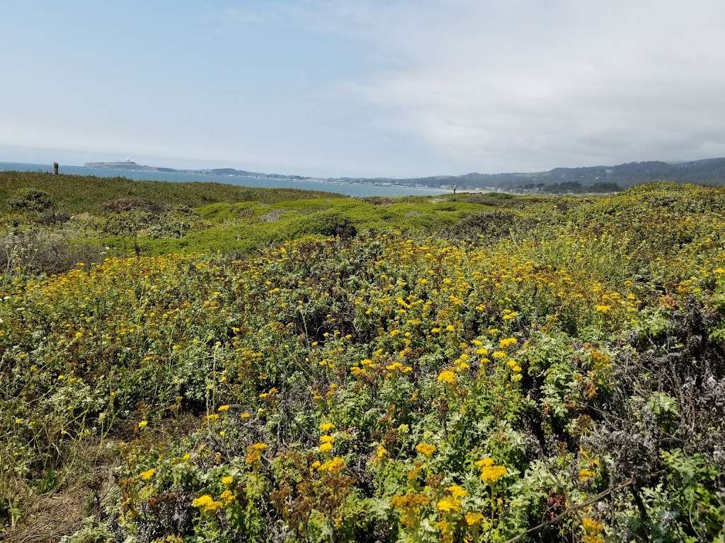 Sea Horse Ranch | 1828 Cabrillo Hwy N, Half Moon Bay, CA 94019 | Phone: (650) 726-9903