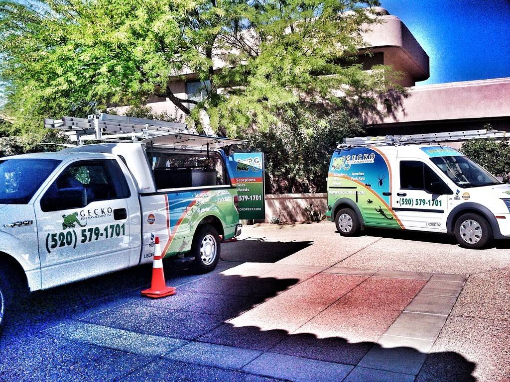 Gecko Pest Management Inc | 1001 S Park Ave, Tucson, AZ 85719, USA | Phone: (520) 579-1701