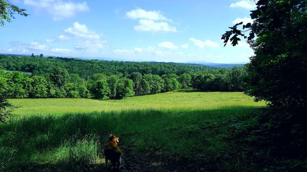 The Old Homestead Vacation Rental | 112 Linden Farm Ln, Berkeley Springs, WV 25411, USA | Phone: (301) 988-6518