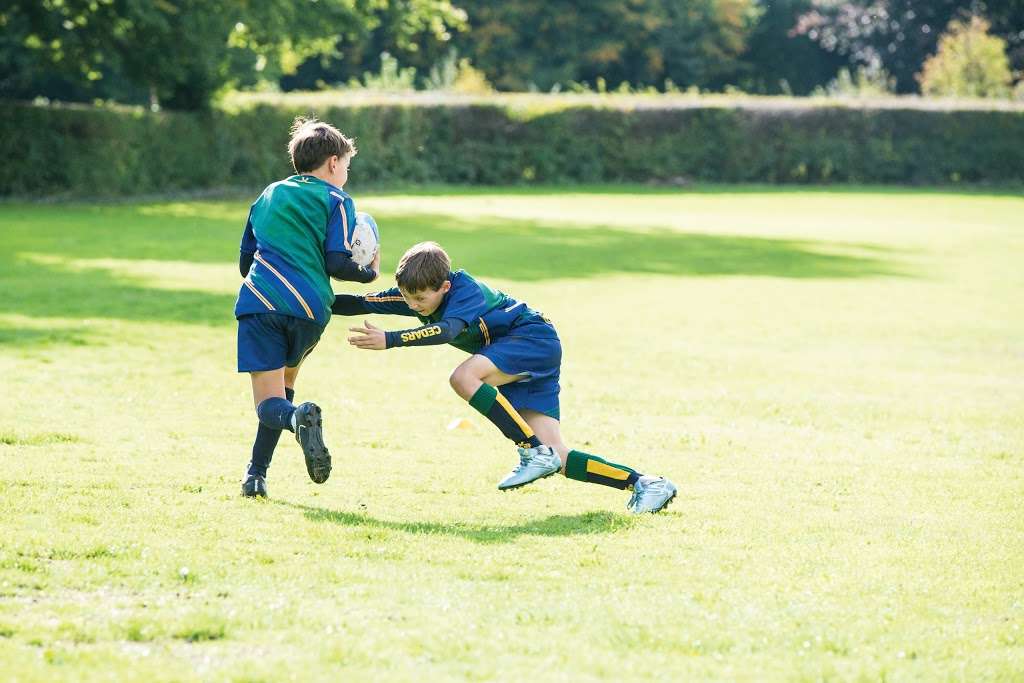 The Cedars School | Coombe Road, Lloyd Park, Croydon CR0 5RD, UK | Phone: 020 8185 7770