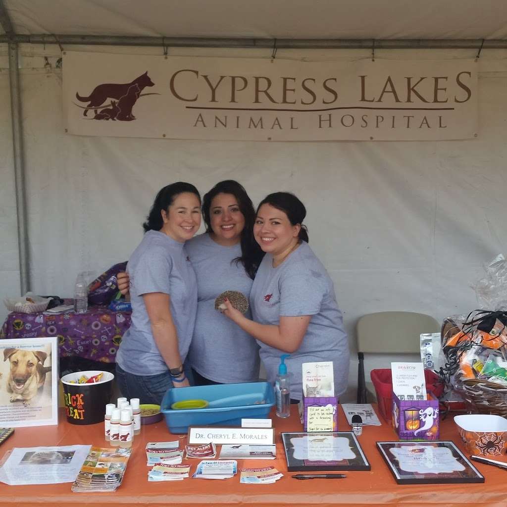 Cypress Lakes Animal Hospital | 10920 Fry Rd #750, Cypress, TX 77433, USA | Phone: (832) 220-1582