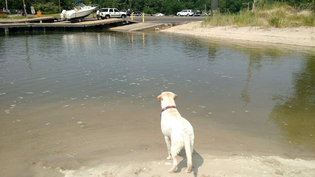 Nothport Fishing and Boat ramp | Fort Salonga, NY 11768