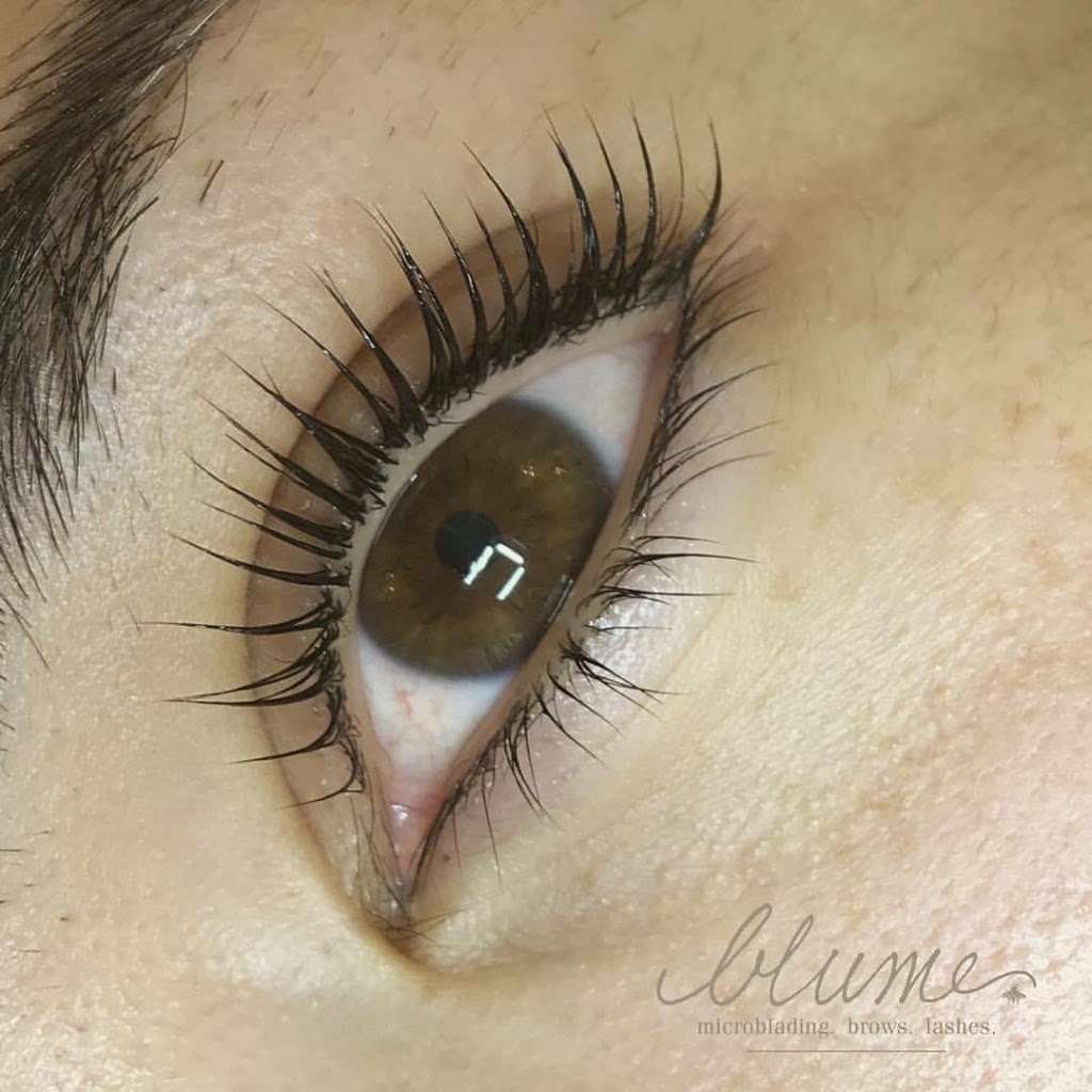 Blume | Microblading Salon | 26244 Prima Way, Santa Clarita, CA 91350, USA | Phone: (661) 299-7553