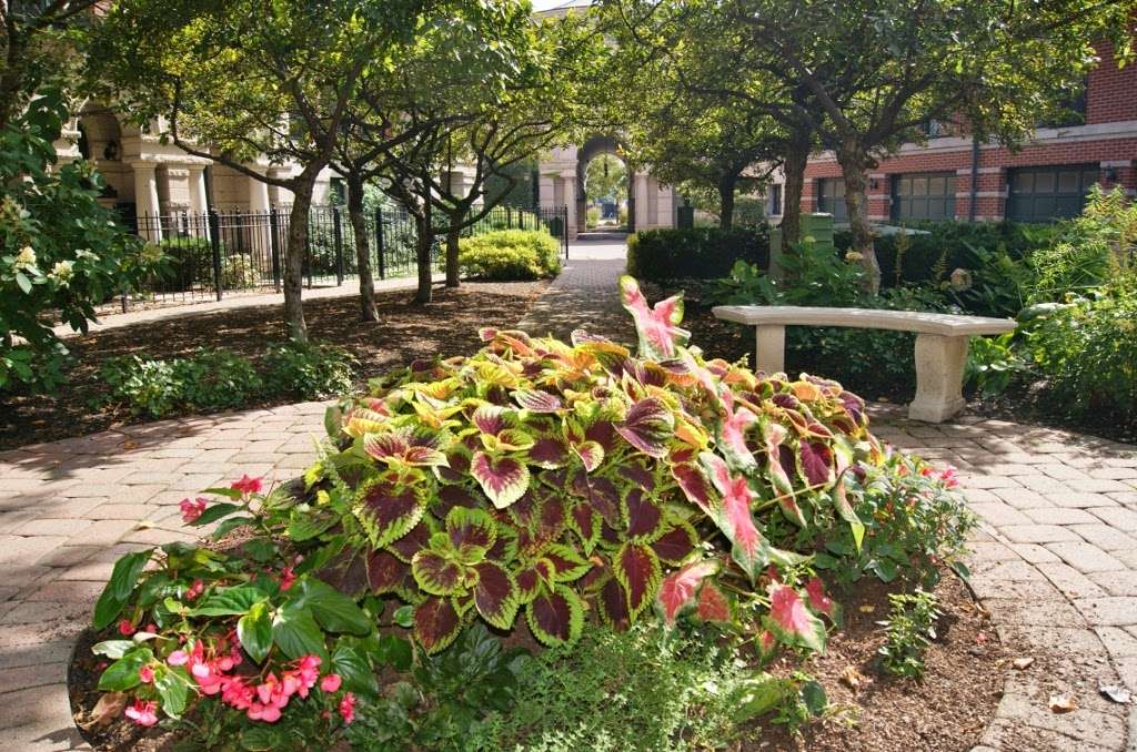 Lincoln Park Townhomes and Condos | 4248 N Greenview Ave, Chicago, IL 60613, USA | Phone: (312) 789-4450