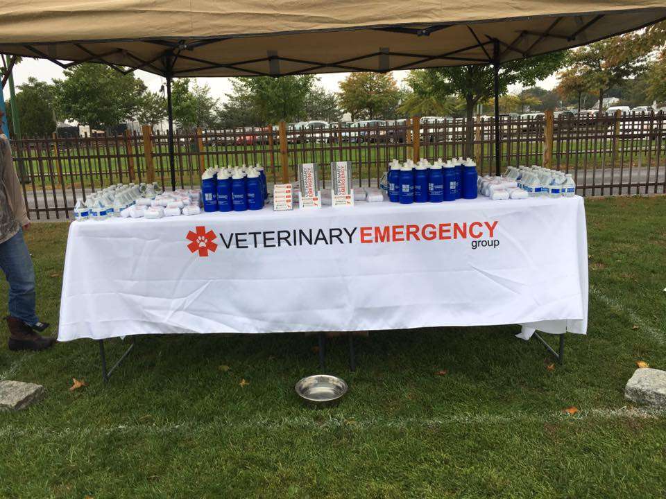 Veterinary Emergency Group | 193 Tarrytown Rd, White Plains, NY 10607, USA | Phone: (914) 949-8779