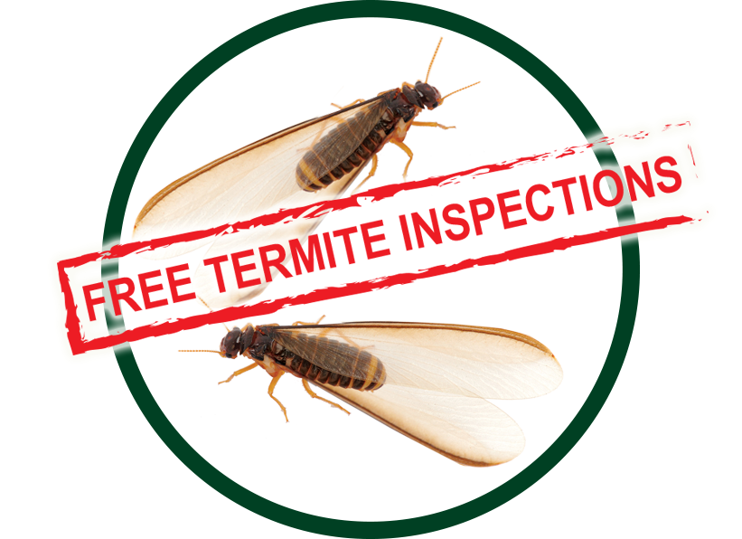 Kilter Termite & Pest Control - Orange County | 381 W Grove Ave, Orange, CA 92865, USA | Phone: (714) 406-2294