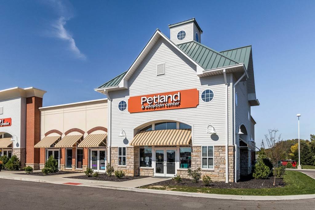 Petland Grove City | 2740 London Groveport Rd, Grove City, OH 43123, USA | Phone: (614) 957-5110