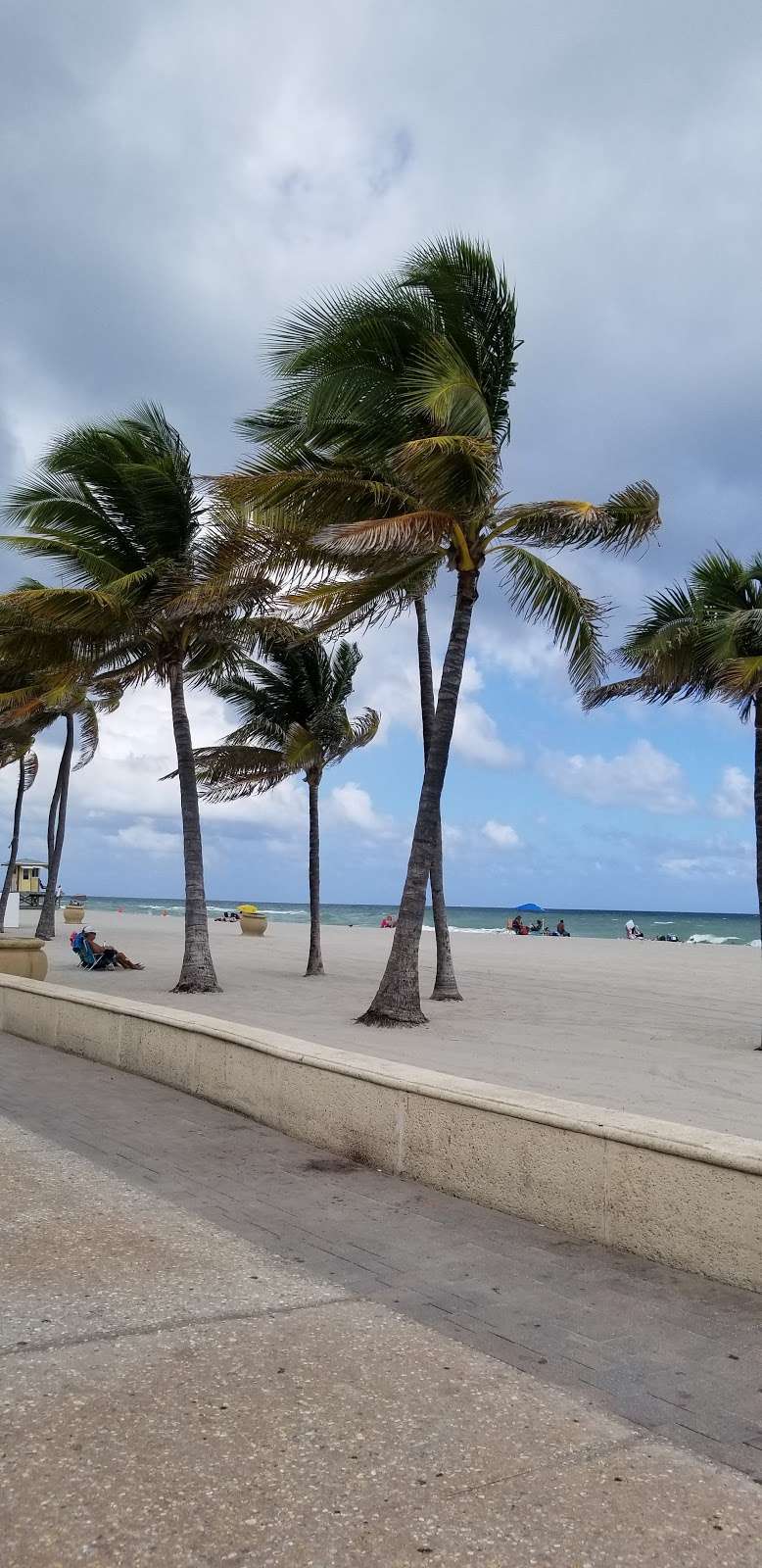 Hollywood Beach | 100, Taylor St, Hollywood, FL 33019, USA