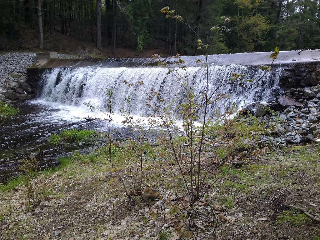 Hartshorn Pond Land | Milford, NH 03055, USA