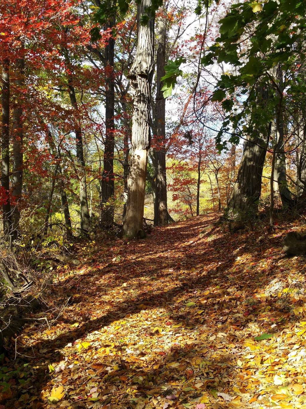 Crawbuckie Park | Ossining, NY 10562, USA