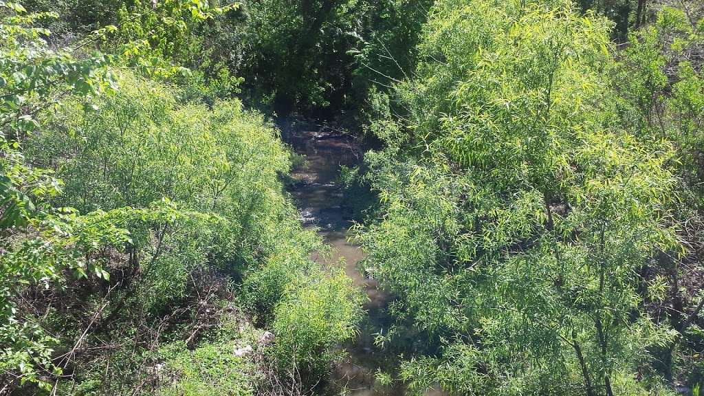 Osprey Trail Trailhead | Sanford, FL 32773, USA