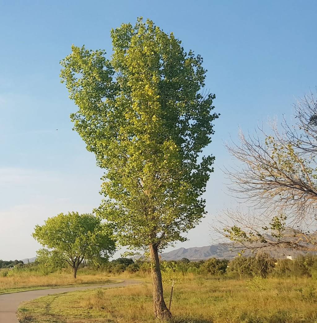 Rio Grande Riverpark Trail System | 5240 Hunters Glenn St, El Paso, TX 79932 | Phone: (915) 771-2380