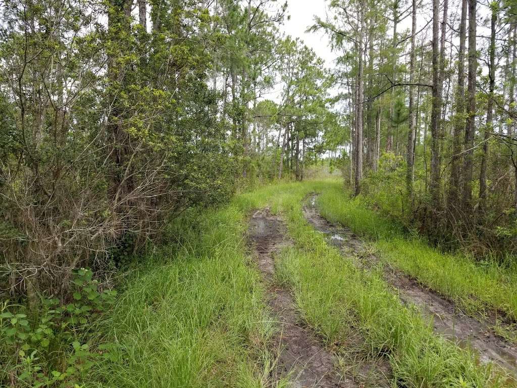 Osprey Unit, Hilochee Wildlife Management Area - Olivers Trail | 10701 Old Grade Rd, Polk City, FL 33868, USA | Phone: (863) 648-3200