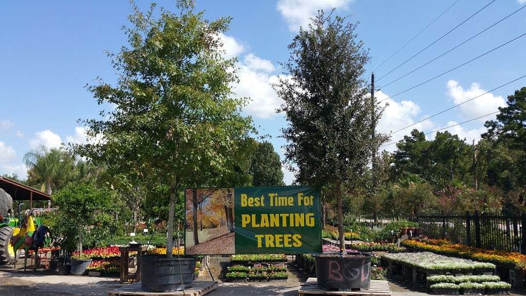 Tree Valley nursery inc. | 11906 Boudreaux Rd, Tomball, TX 77375 | Phone: (832) 435-9398