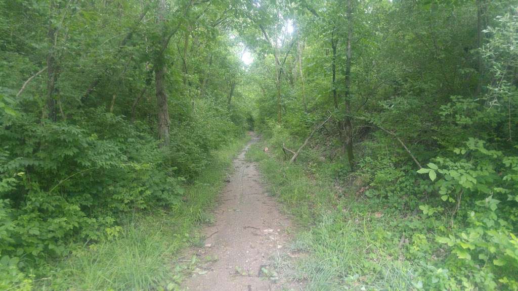 Line Creek Greenway | NW 78 St, Kansas City, MO 64151, USA