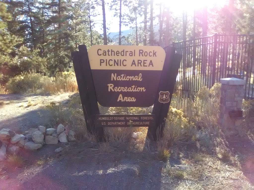 CATHEDRAL ROCK PICNIC AREA | Toiyabe, Coleville, NV 96107, USA | Phone: (801) 226-3564