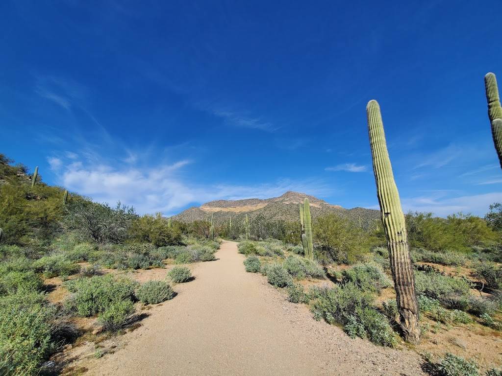 Merkle Trail | 3939 N Usery Pass Rd, Mesa, AZ 85207, USA | Phone: (480) 984-0032