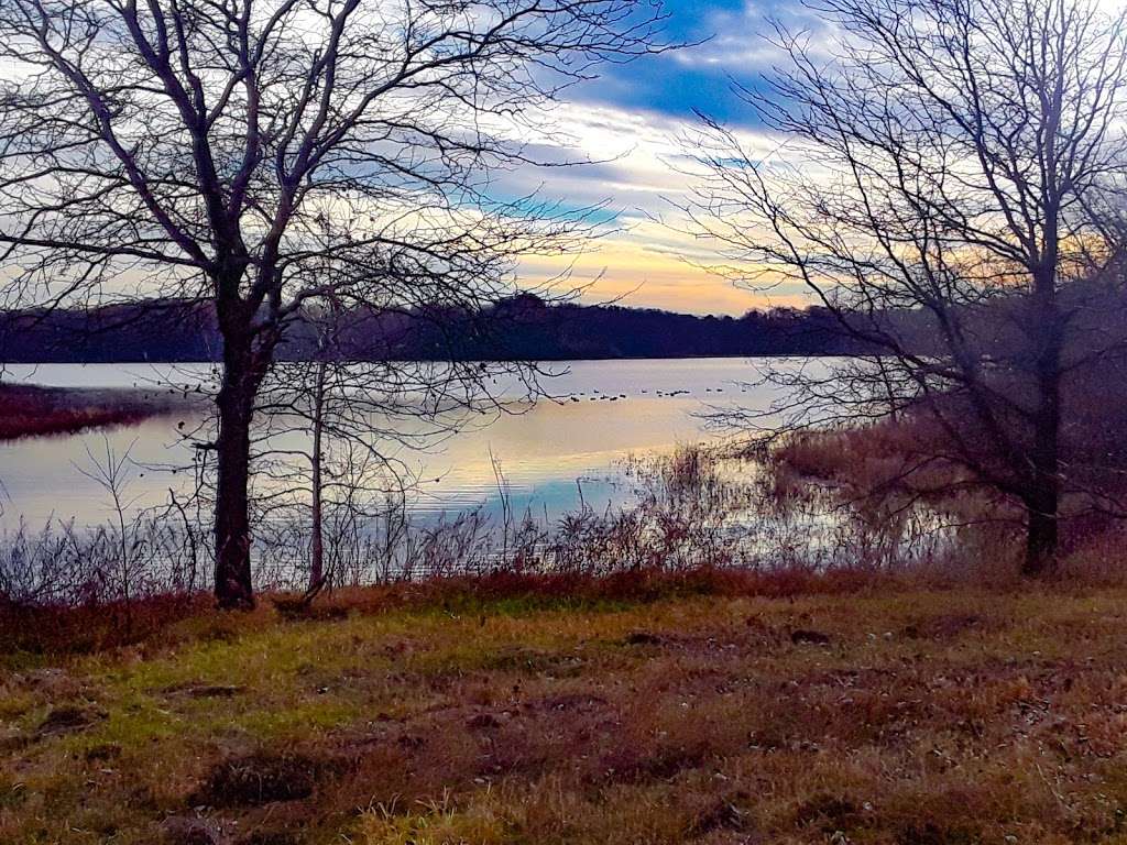 Cabin Fever Trailhead | Smithville, MO 64089, USA