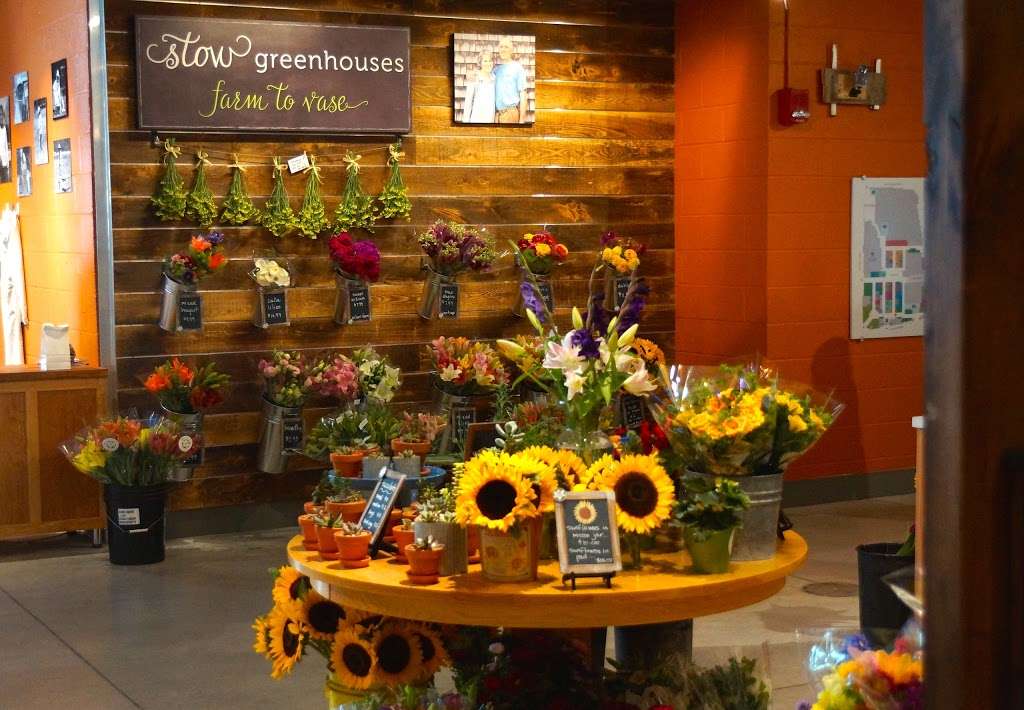 Field & Vase by Stow Greenhouses | 84 Walcott St, Stow, MA 01775, USA | Phone: (978) 568-1189