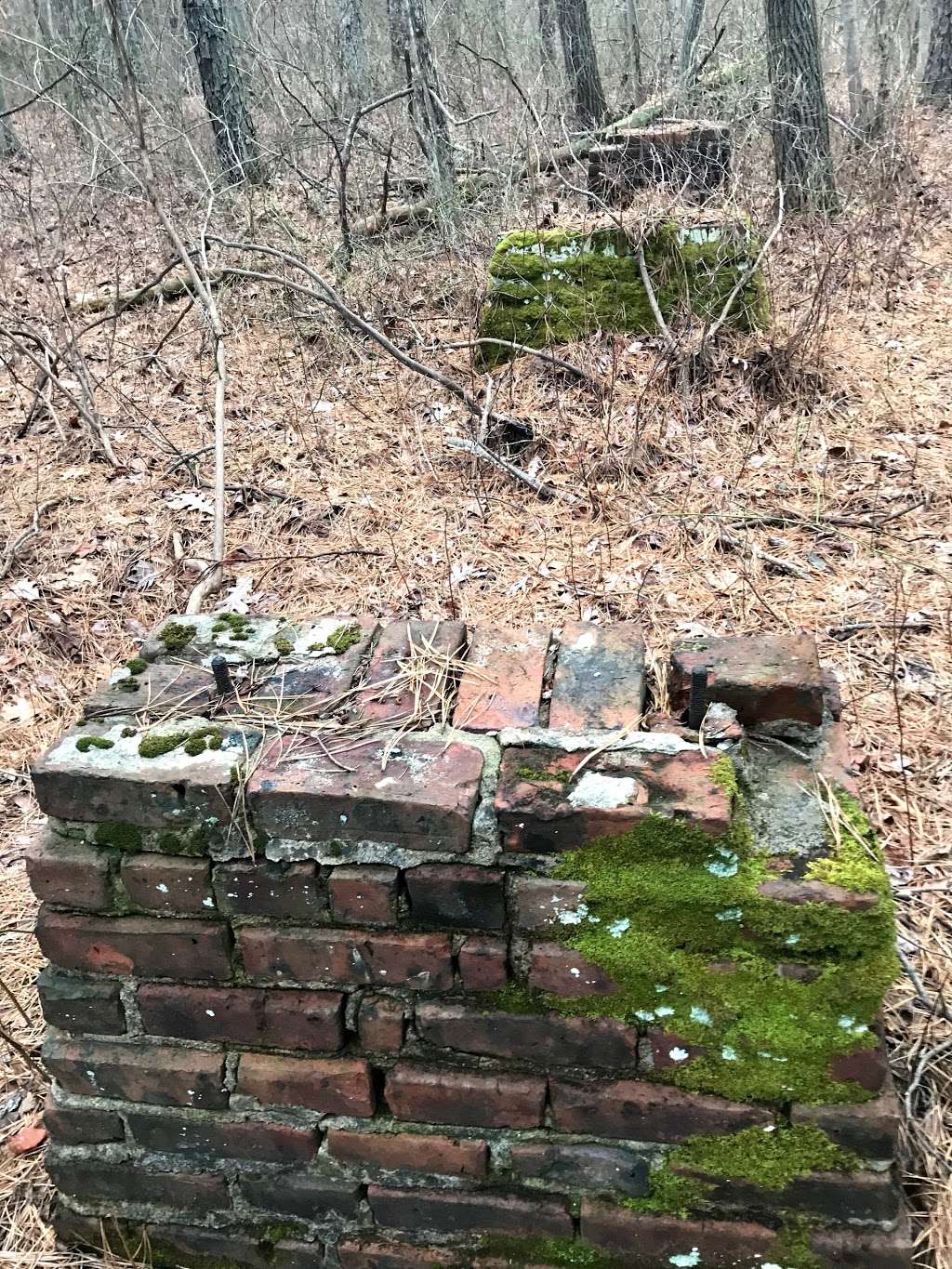 Bear Swamp | 351-, 399 Maxim Rd, Howell, NJ 07731, USA