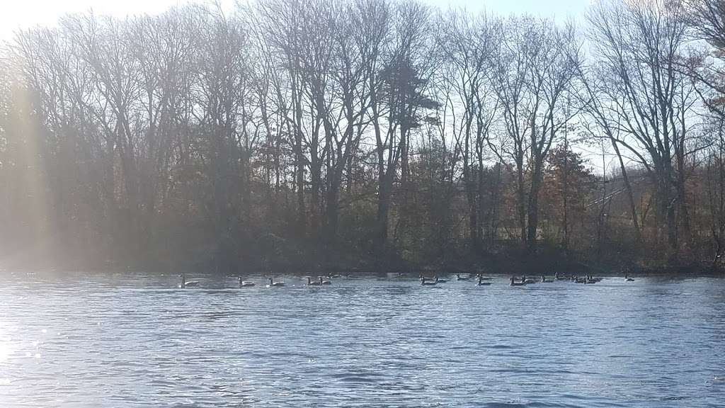 Walts Trucking | 599 E Ironstone Rd, Harrisville, RI 02830, USA | Phone: (401) 769-0340