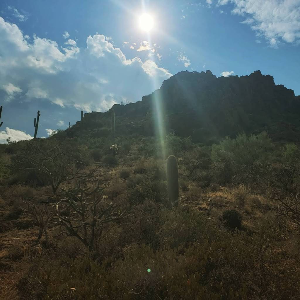 Camino de Oeste Trailhead | 415 N Camino De Oeste, Tucson, AZ 85745, USA | Phone: (520) 877-6000