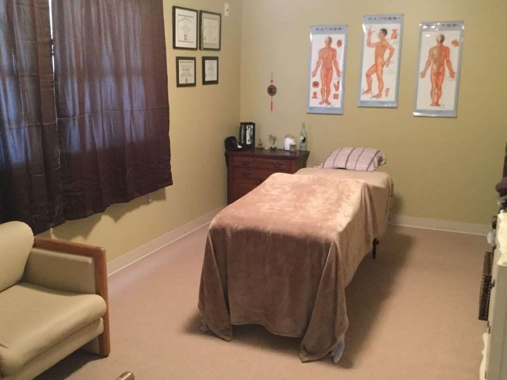 Three Moons Acupuncture | 310 Old Green Bay Rd, Kenosha, WI 53144, USA | Phone: (262) 977-8793