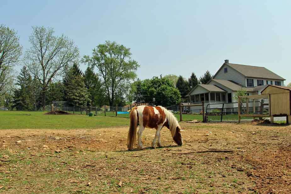 Dutch Homestead Vacation Home | 75 Paradise Ln, Ronks, PA 17572, USA | Phone: (717) 687-8468