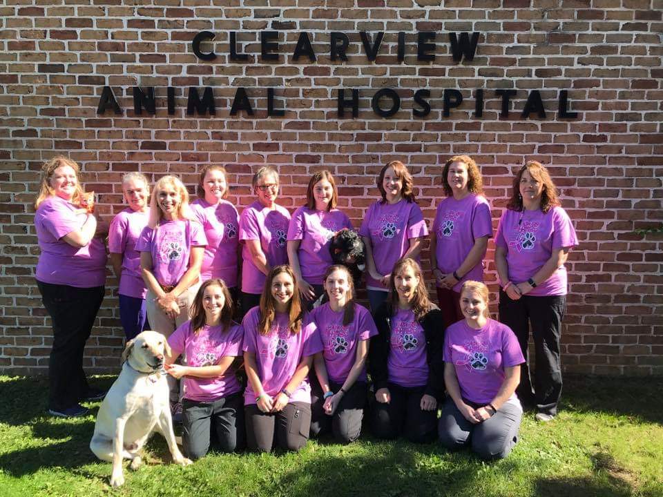 Clearview Animal Hospital | 1035 High St, Hanover, PA 17331, USA | Phone: (717) 632-4757