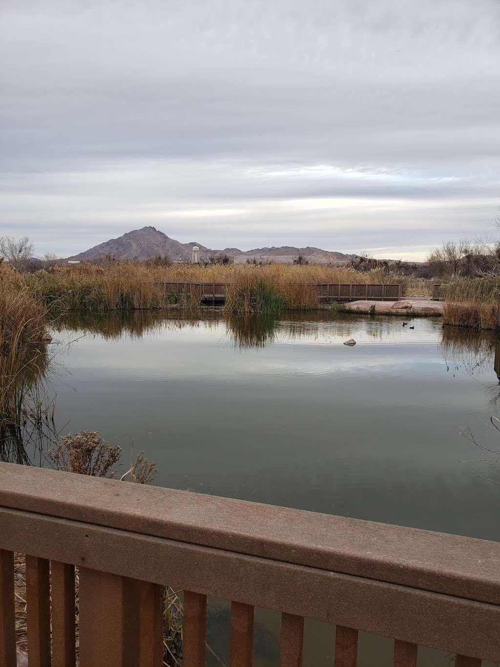 Clark County Wetlands Park - Monson Trailhead | 7050 Hollywood Cir, Las Vegas, NV 89122, USA