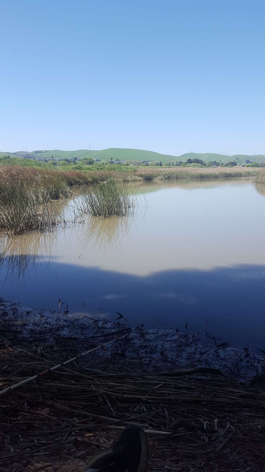 Bay Point Regional Shoreline | end of McAvoy Road, Bay Point, CA 94565 | Phone: (888) 327-2757