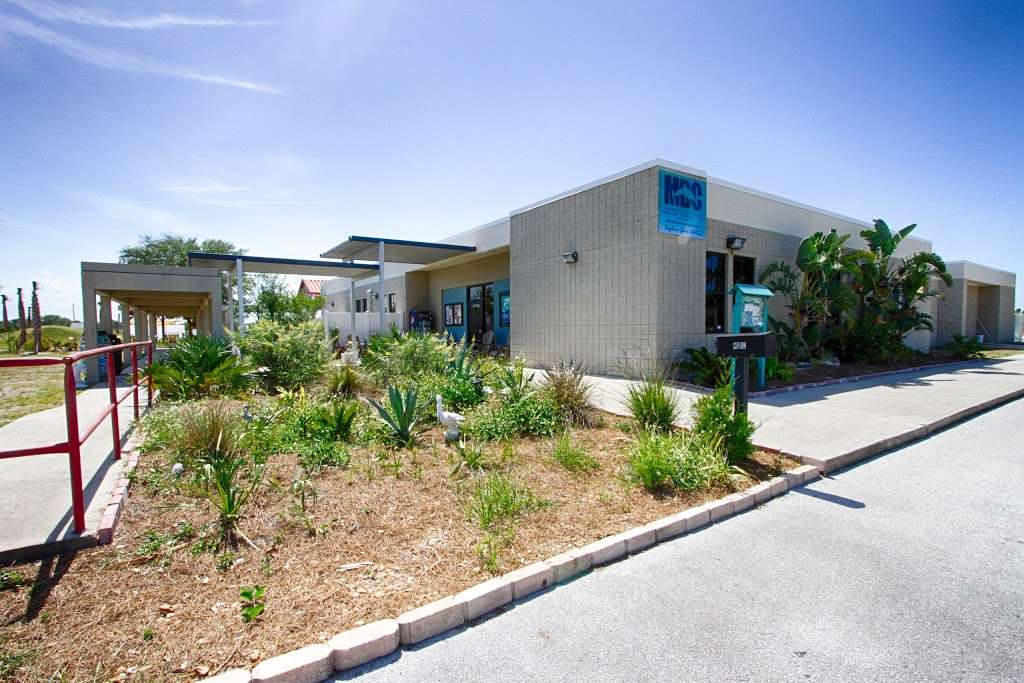 Marine Discovery Center | 520 Barracuda Blvd, New Smyrna Beach, FL 32169, USA | Phone: (386) 428-4828