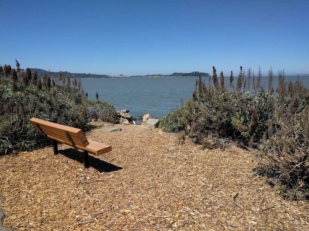 Jean & John Starkweather Shoreline Park | San Rafael, CA 94901