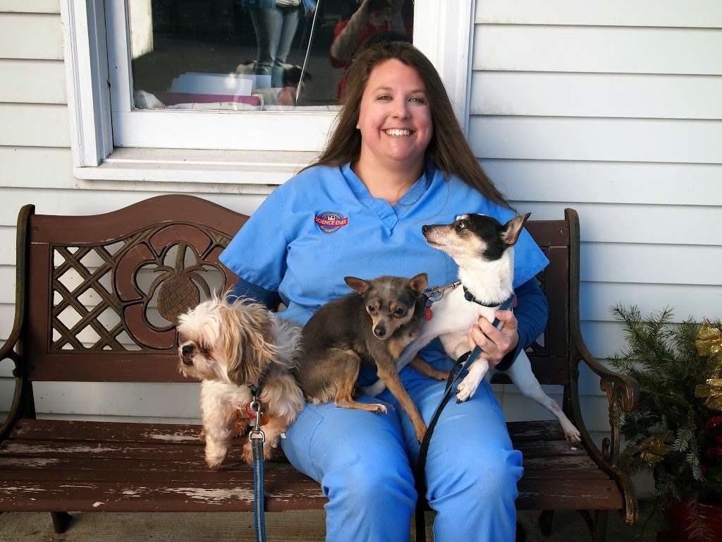 Pleasant Valley Animal Hospital | 1945 State Rd, Quakertown, PA 18951, USA | Phone: (610) 346-7854