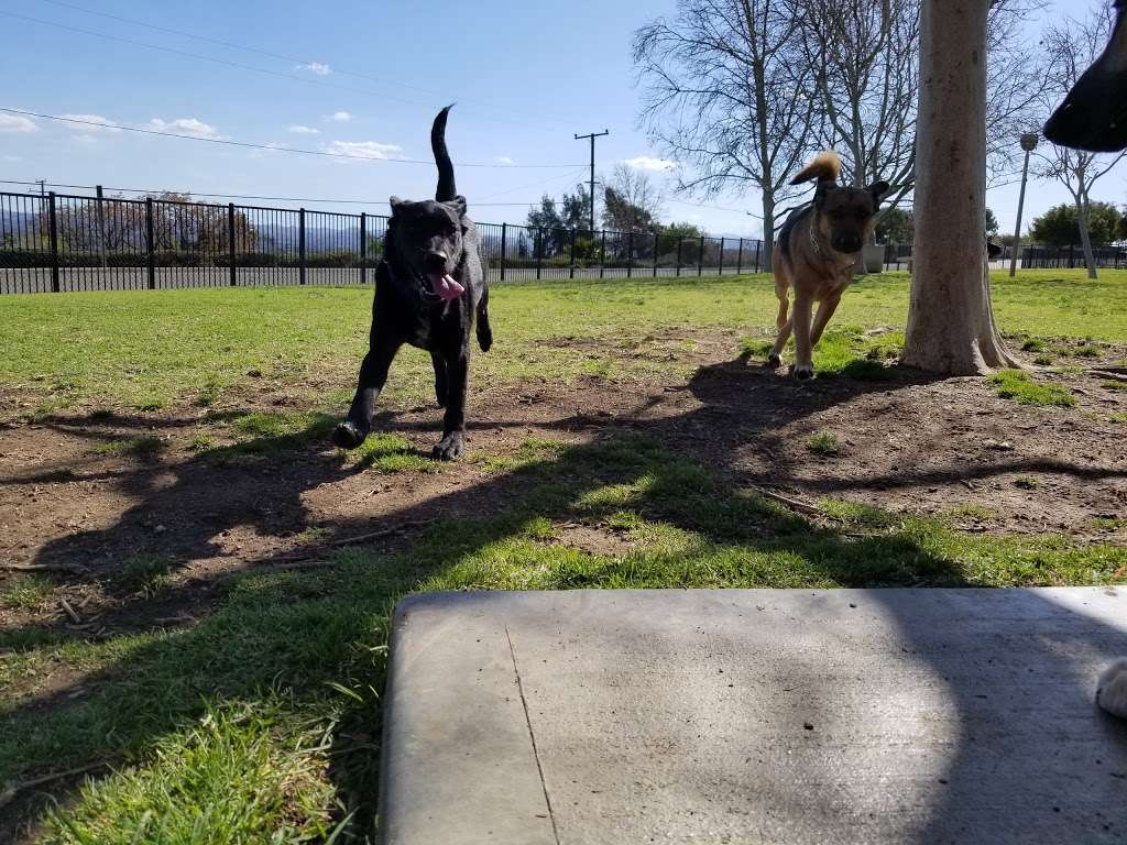 Pat Merritt Dog Park | 6181 Limonite Ave, Riverside, CA 92509, USA