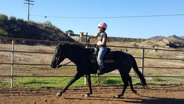 Ride Above Disability Therapeutic Riding Center | 15529 Sycamore Canyon Rd, Poway, CA 92064, USA | Phone: (858) 209-5662