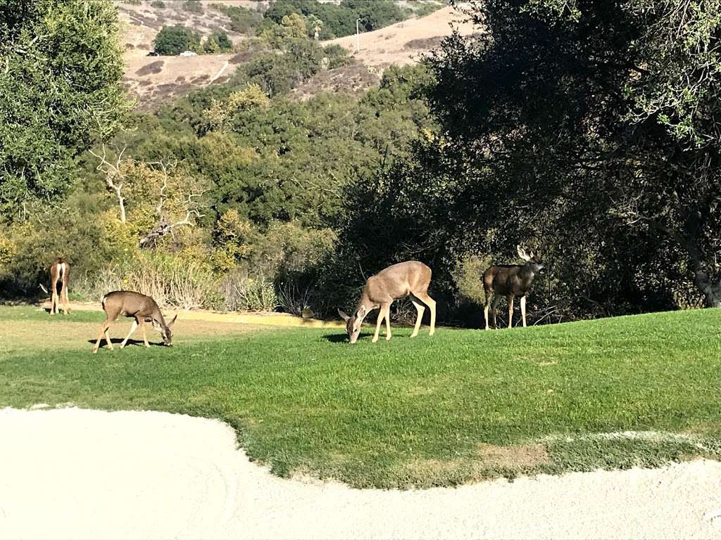 ONeill Regional Park | 30892 Trabuco Canyon Rd, Trabuco Canyon, CA 92679 | Phone: (949) 923-2260