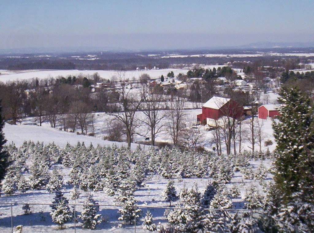 South Mountain MicroFARM | 6138 Clevelandtown Rd, Boonsboro, MD 21713