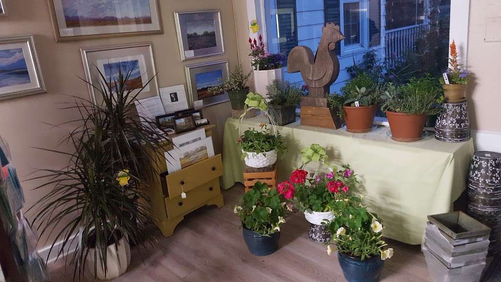 Plant, Flower & Garden Shop of Milford | 1235, 909 N Walnut St unit a, Milford, DE 19963, USA | Phone: (302) 422-4961