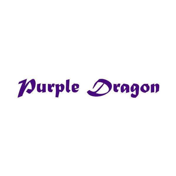 Purple Dragon International NY | 11404 Rockaway Blvd, South Ozone Park, NY 11420, USA | Phone: (917) 300-2300