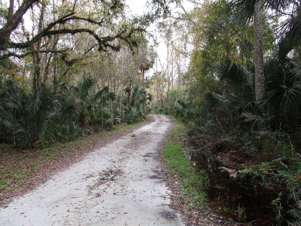 Lake Marion Creek Wildlife Management Area | Eileen Lake Blvd, Haines City, FL 33844, USA | Phone: (863) 648-3200