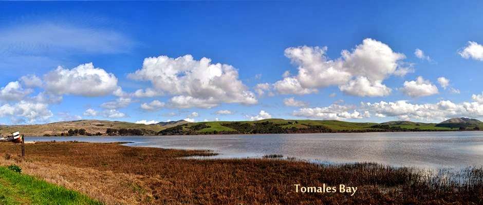 Cottages at Point Reyes Seashore | 13275 Sir Francis Drake Blvd, Inverness, CA 93937 | Phone: (415) 669-7250