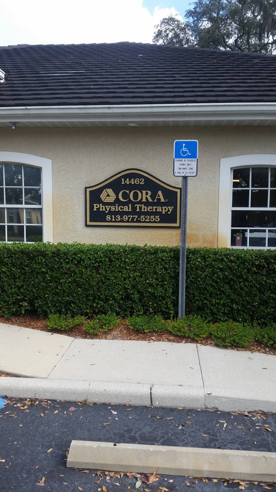 CORA Physical Therapy North Tampa | 14462 Bruce B Downs Blvd, Tampa, FL 33613, USA | Phone: (813) 977-5255